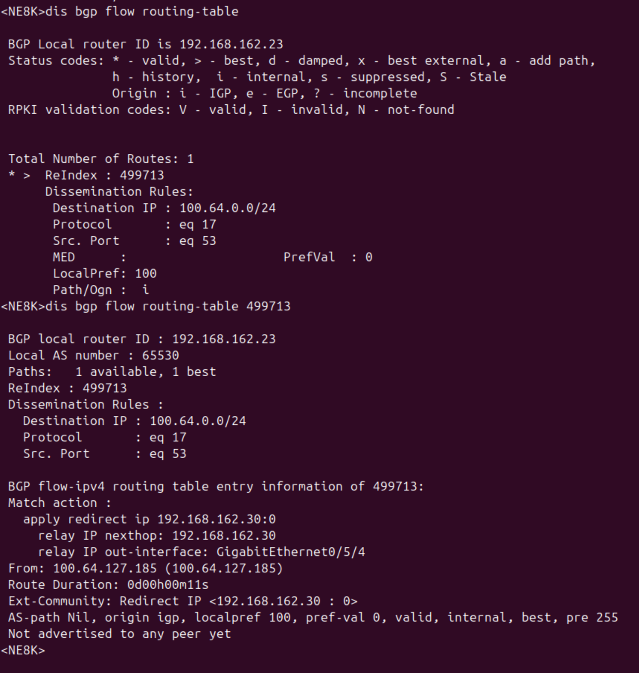 action-running-ne8k-redirect-with-ip.png